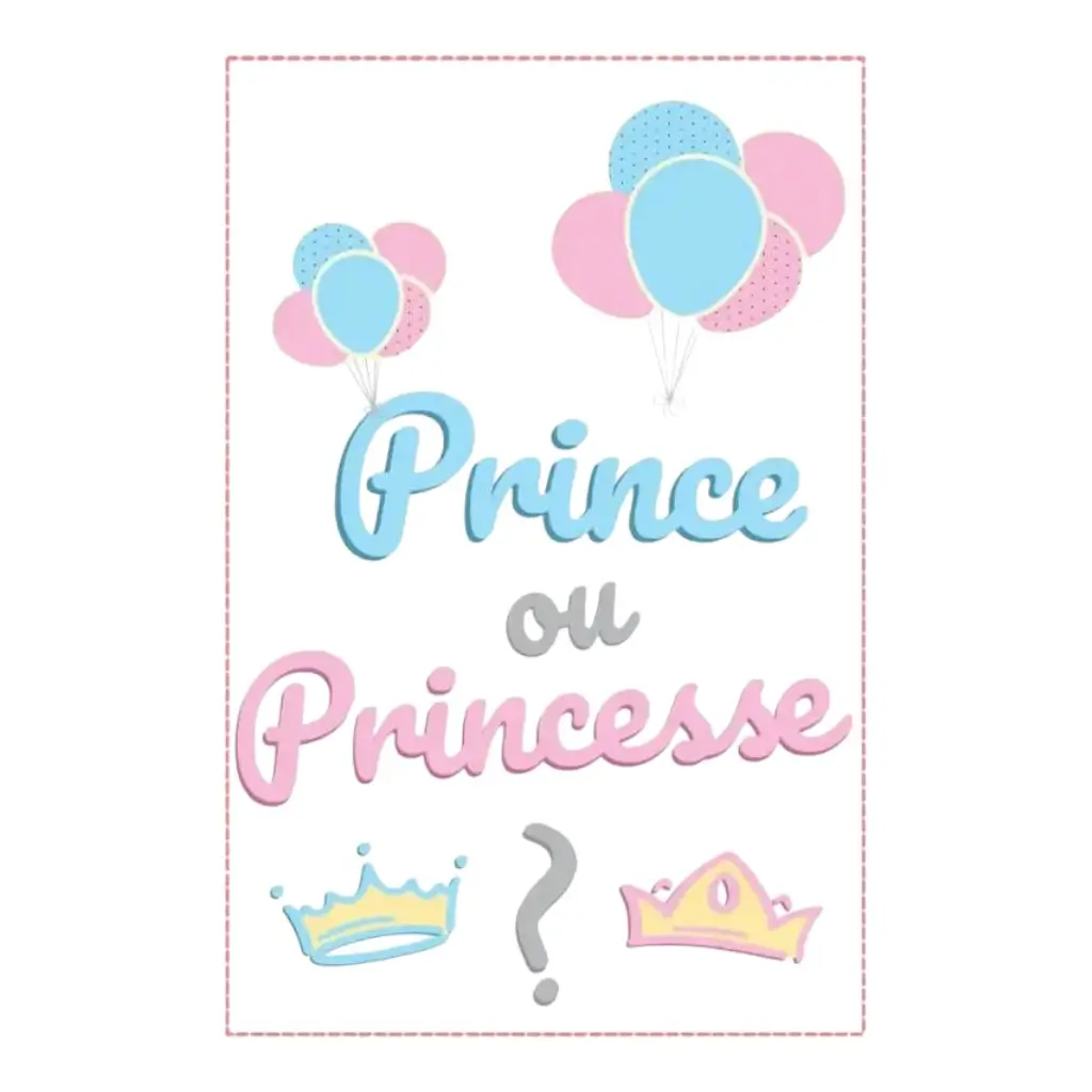 Paper pennant garland "Prince or Princess? - 5m
