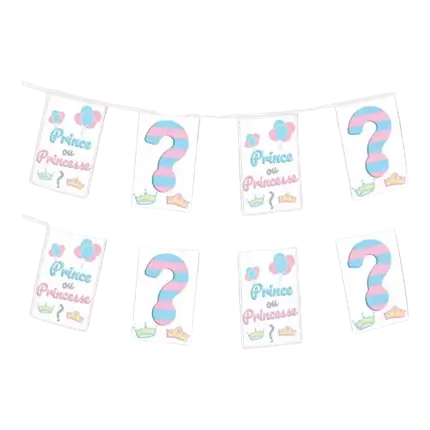Paper pennant garland Prince or Princess? - 5m