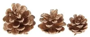 Pine cone set - Gold - 9pcs / 3 sizes