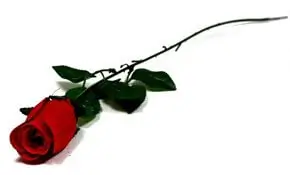 Artificial flower type Rose with stem