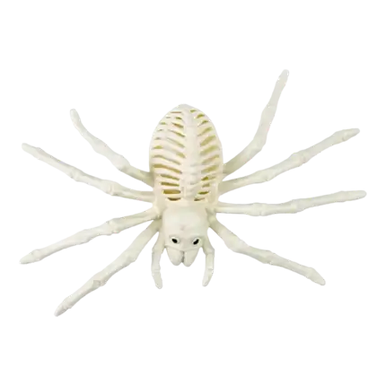 WHITE SPIDER SKELETON - 25CM