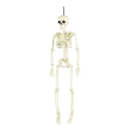 SKELETON SUSPENSION 40CM