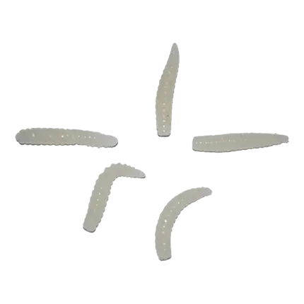 Phosphorescent maggots 3cm