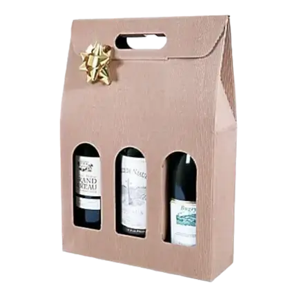 Box 3 Bottles with Handle Natural Beige Colour