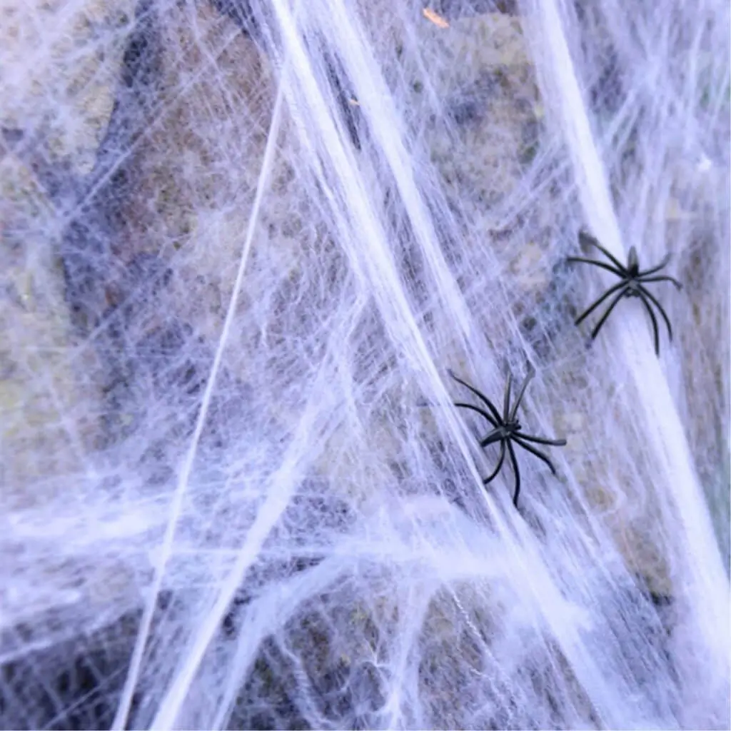 Spider web 300g and 4 spiders