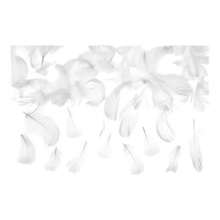 Decorative feather - White - 3g