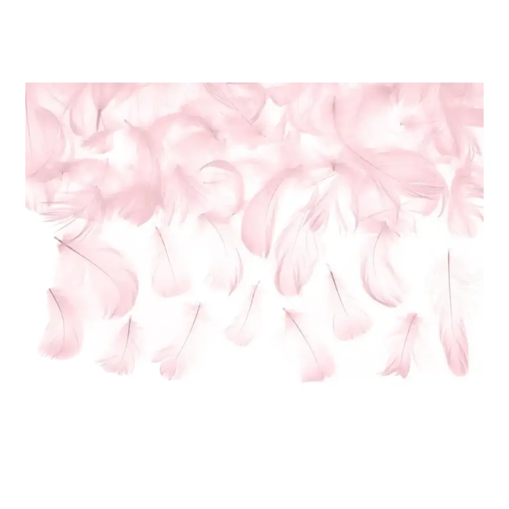 Decorative feather - Light Pink - 3g