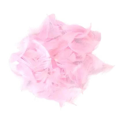 Decorative feather - Light Pink - 3g