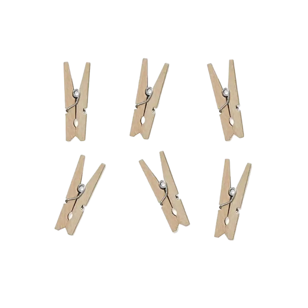 Set of 20 wooden pins