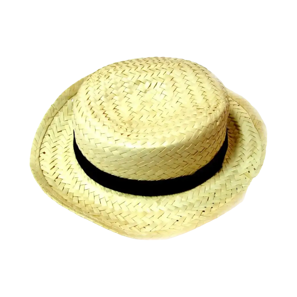 Woven Straw Country Hat