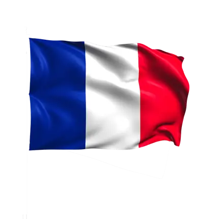 France Tricolore Flag 60x90cm with Sheath