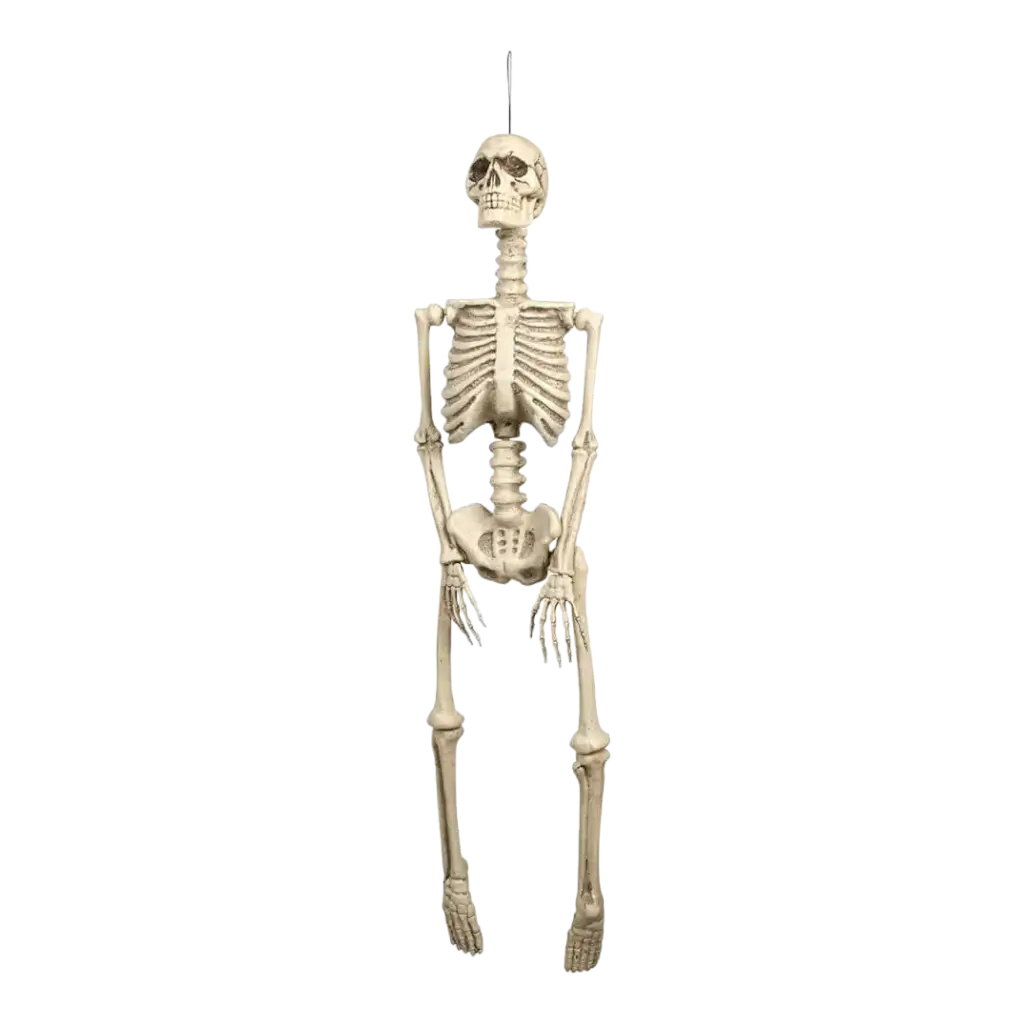 92cm Hanging Skeleton for Halloween Decoration