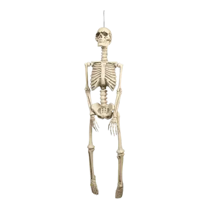 92cm Hanging Skeleton for Halloween Decoration
