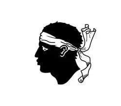 Corsica Flag 90x150cm