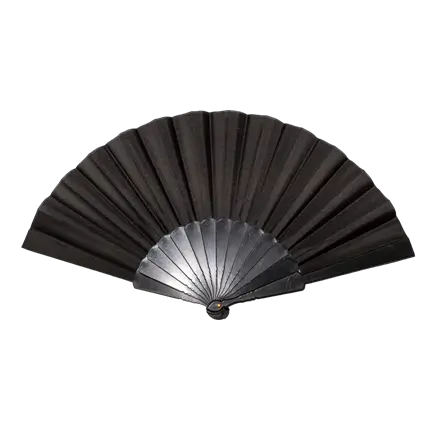 Black fan 43cm