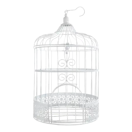 White Cage Money Box
