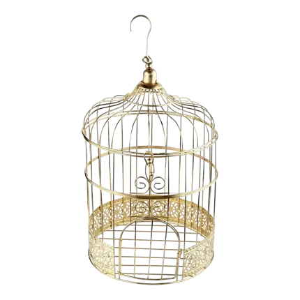 Gold metallic cage money box