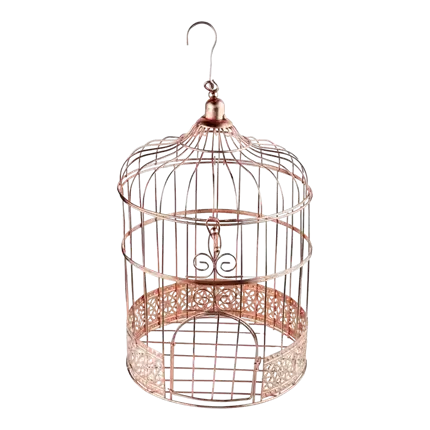 Cage Money Box Metallic Pink