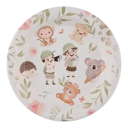 Explorer birthday plate - Set of 10