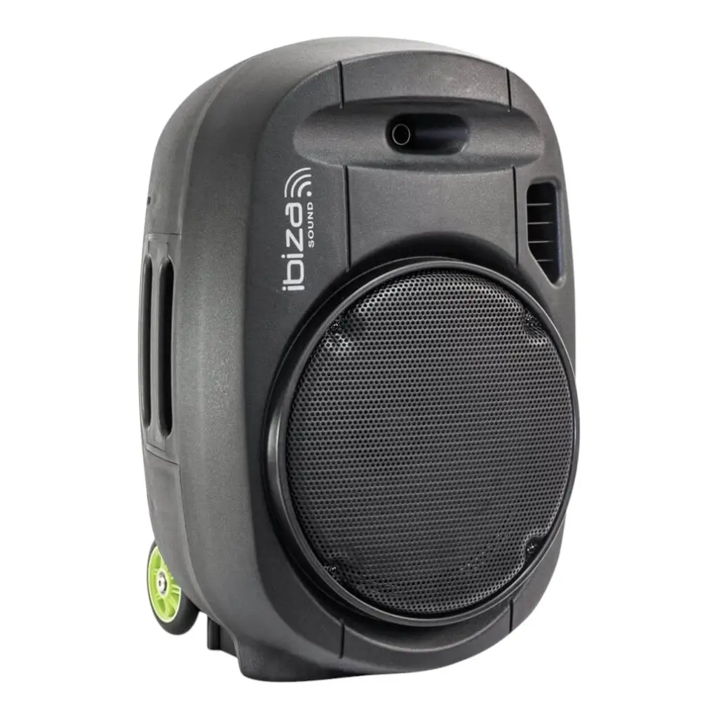 12" standalone portable speaker with USB