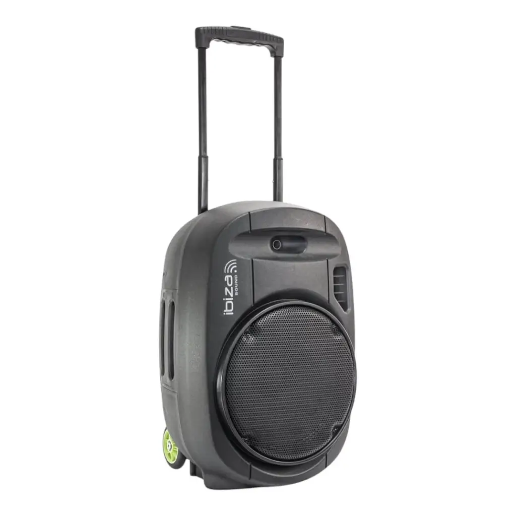 12" standalone portable speaker with USB
