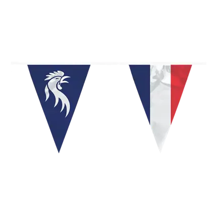 Allez les Bleus pennant garland