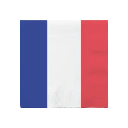 Pack of 20 paper napkins France