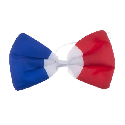 Bow tie France - 12x6cm