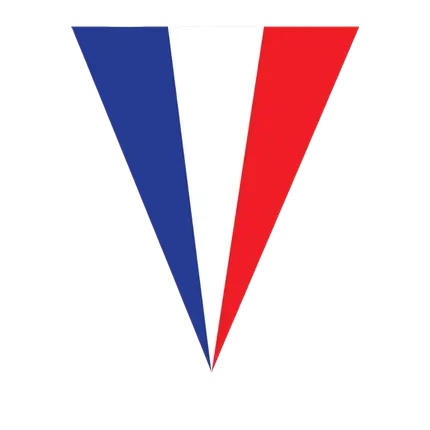 Garland France 10 pennants - 5 metres