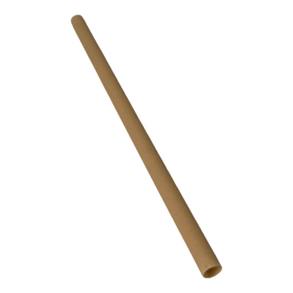 Biodegradable Plant Fibre Straw (Set of 250) - 6x200mm