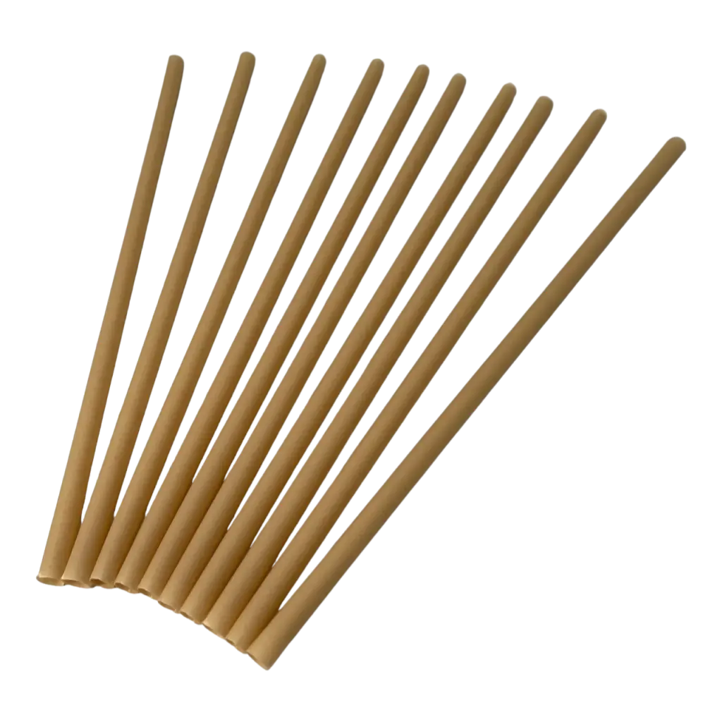 Biodegradable Plant Fibre Straw (Set of 250) - 6x200mm