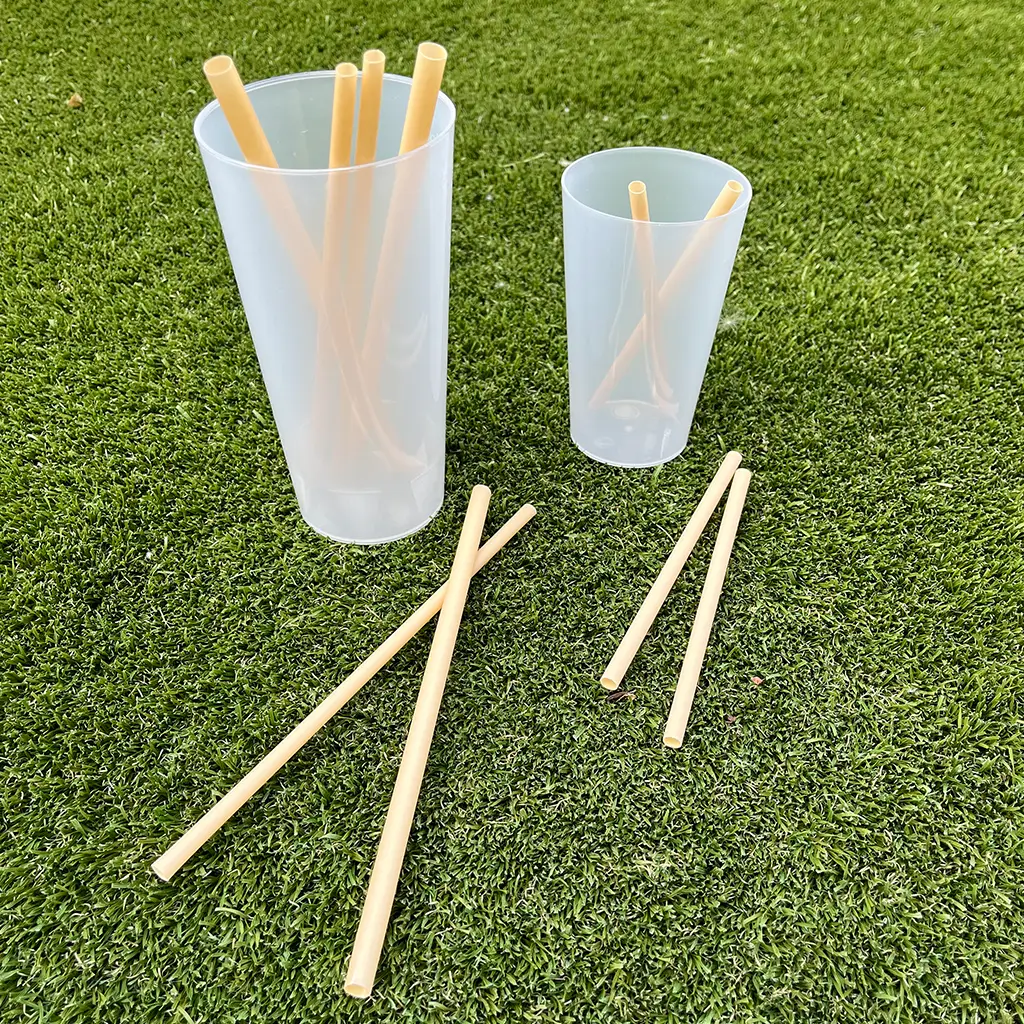 Biodegradable Plant Fibre Straw (Set of 250) - 6x200mm