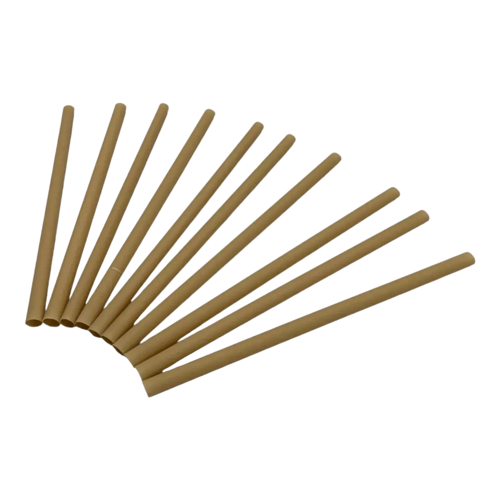 Biodegradable Plant Fibre Straw (Set of 250) - 6x140mm