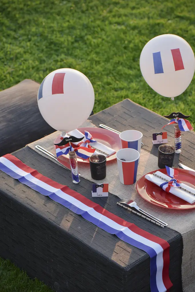 Tricolour Scarf - Mayor's accessory and Disguise