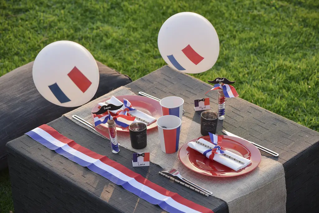 Tricolour Scarf - Mayor's accessory and Disguise