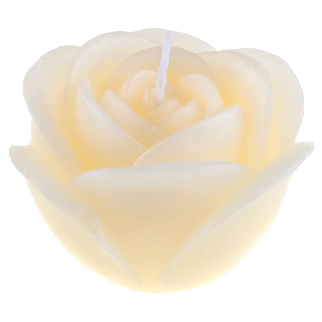 Rose sculpted flower candle - Ivory