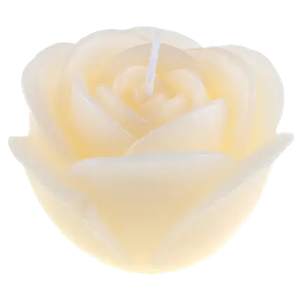 Rose sculpted flower candle - Ivory