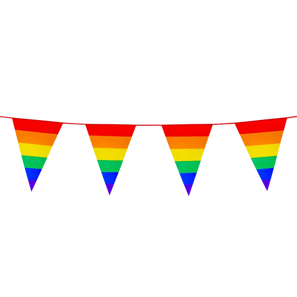 PE Rainbow pennant garland