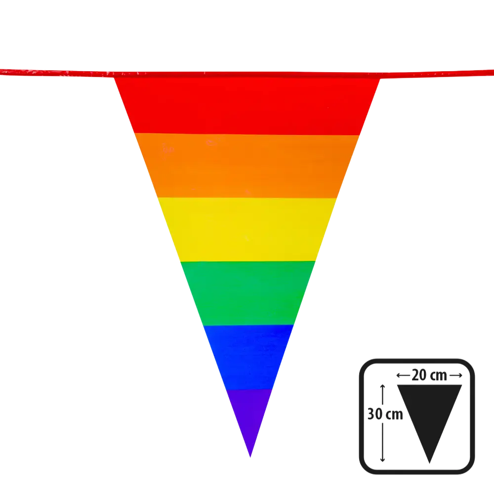 PE Rainbow pennant garland