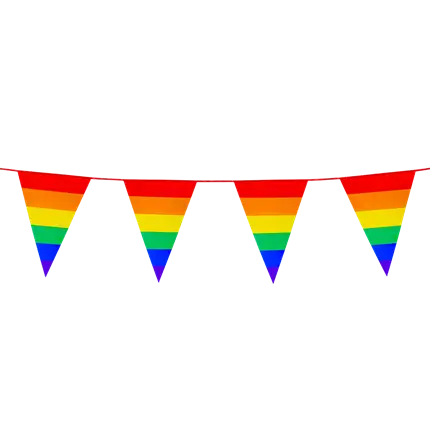 PE Rainbow pennant garland