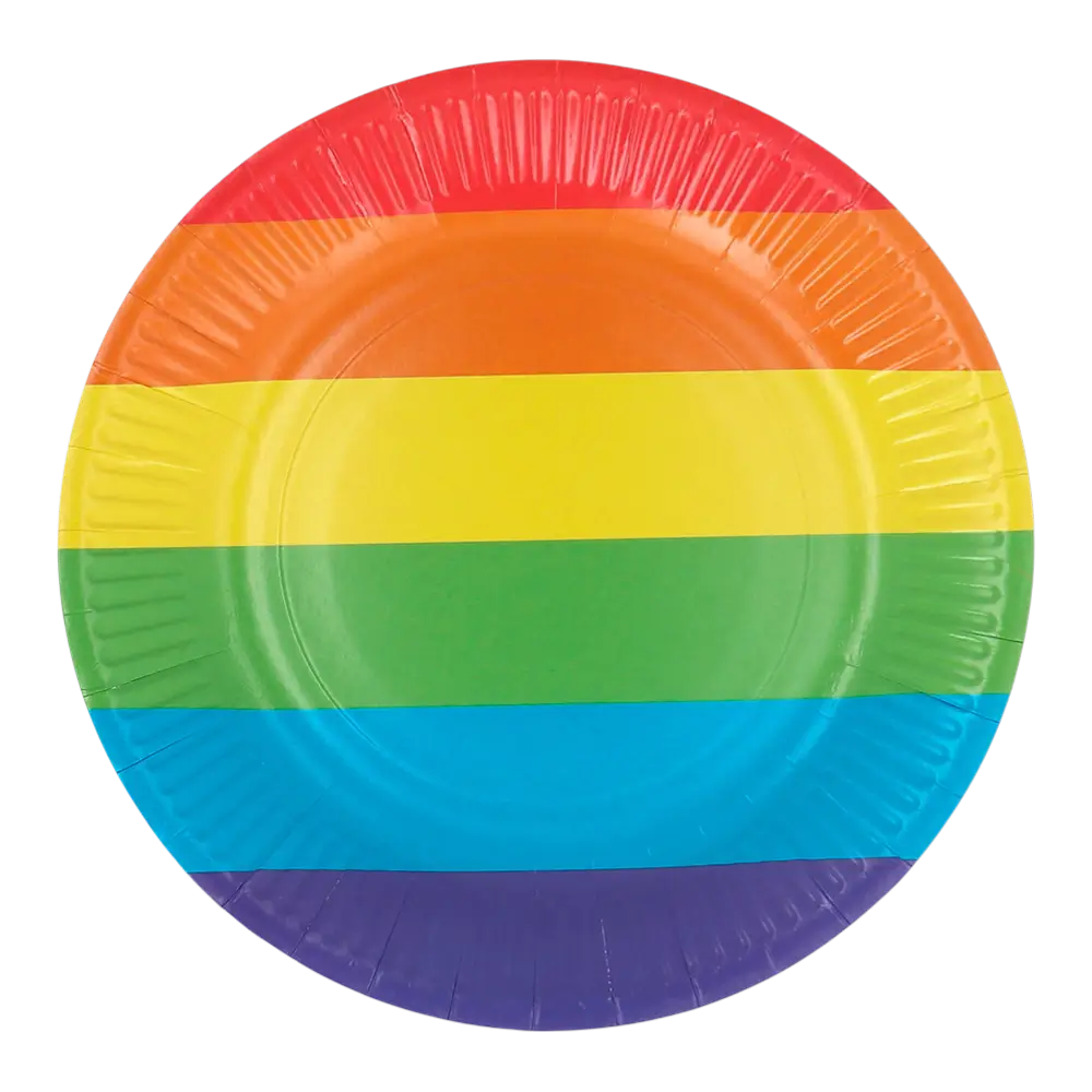 Set of 8 Rainbow paper plates 23cm