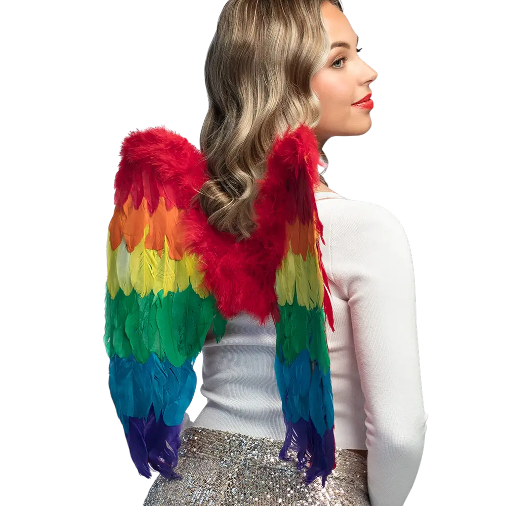 Angel wings Divine rainbow 50x50cm