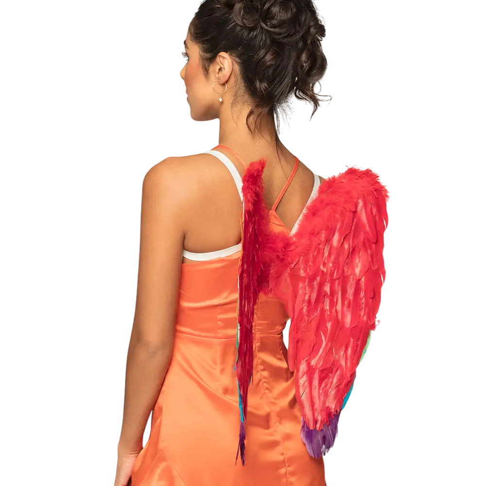 Angel wings Divine rainbow 50x50cm