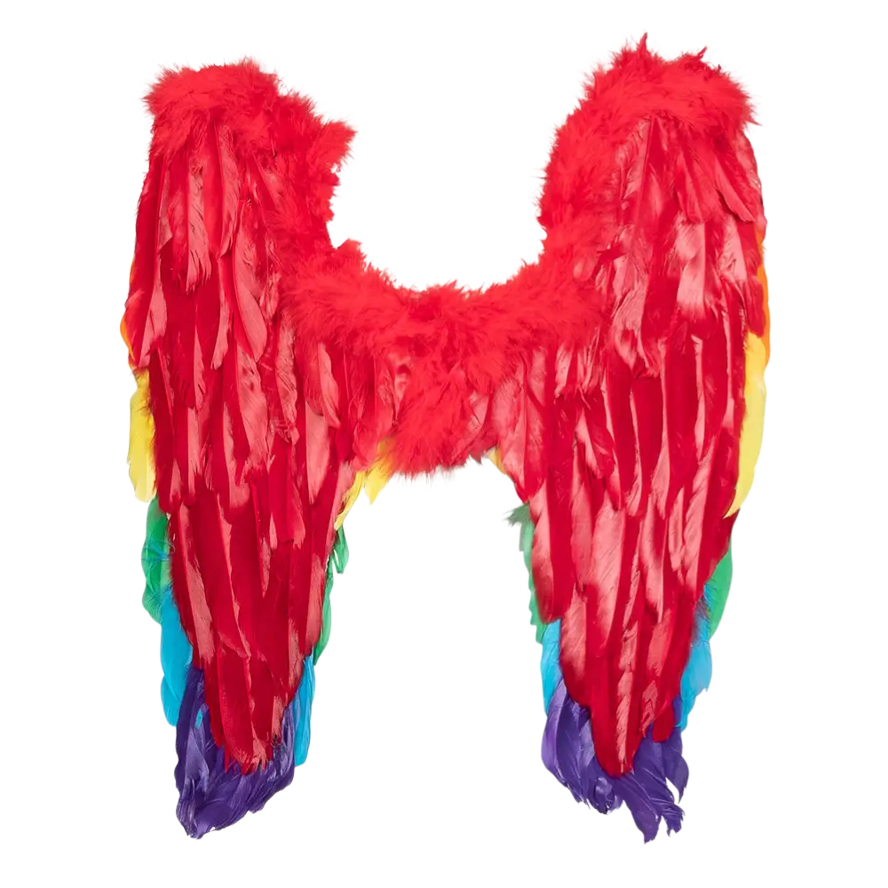 Angel wings Divine rainbow 50x50cm