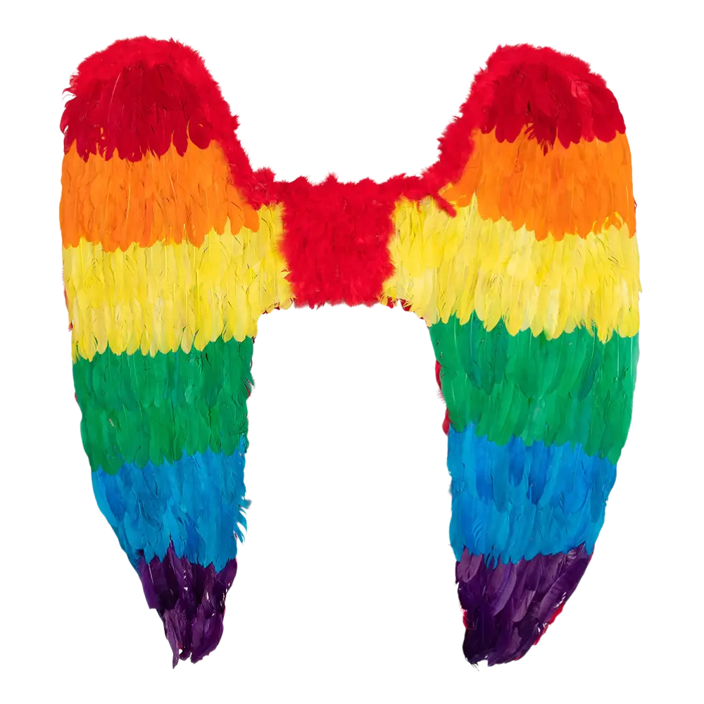 Angel wings Celina rainbow 120x120cm