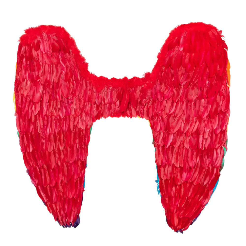 Angel wings Celina rainbow 120x120cm