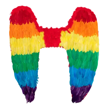 Angel wings Celina rainbow 120x120cm