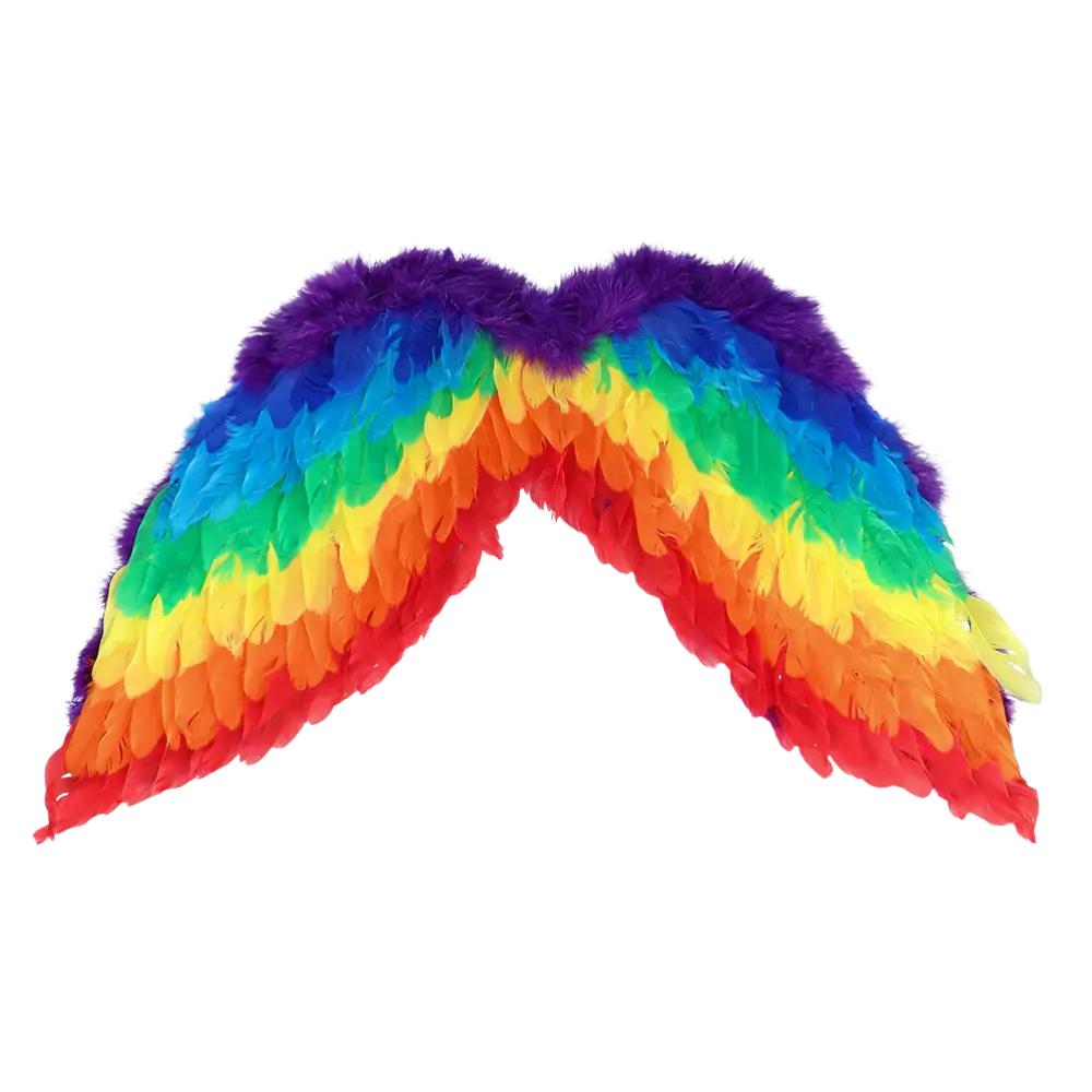 Rainbow angel set