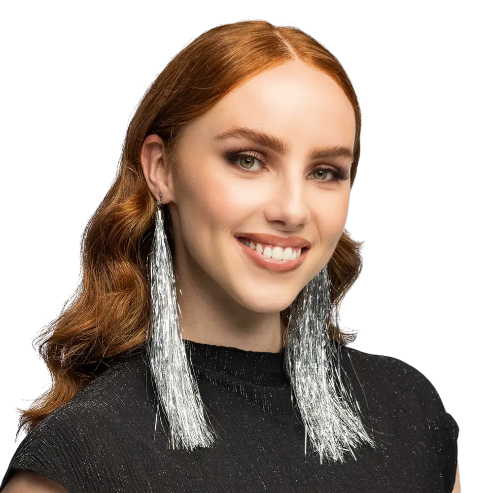 Pair of silver earrings