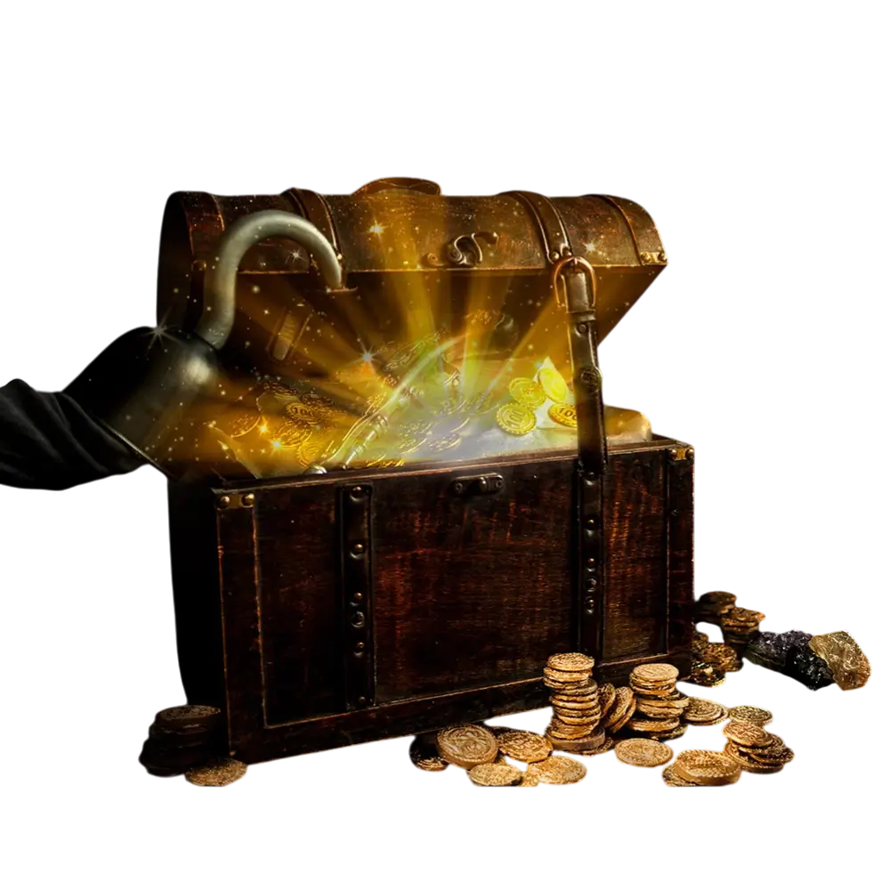 Pirate pocket with 12 coins